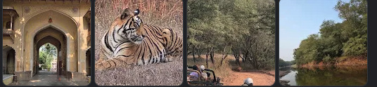 Photos shared by Anagha Shirvadkar